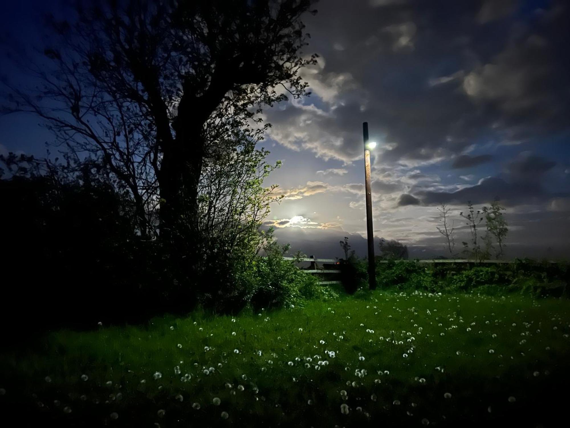 Wellbet Farm Hotel Swinderby Buitenkant foto