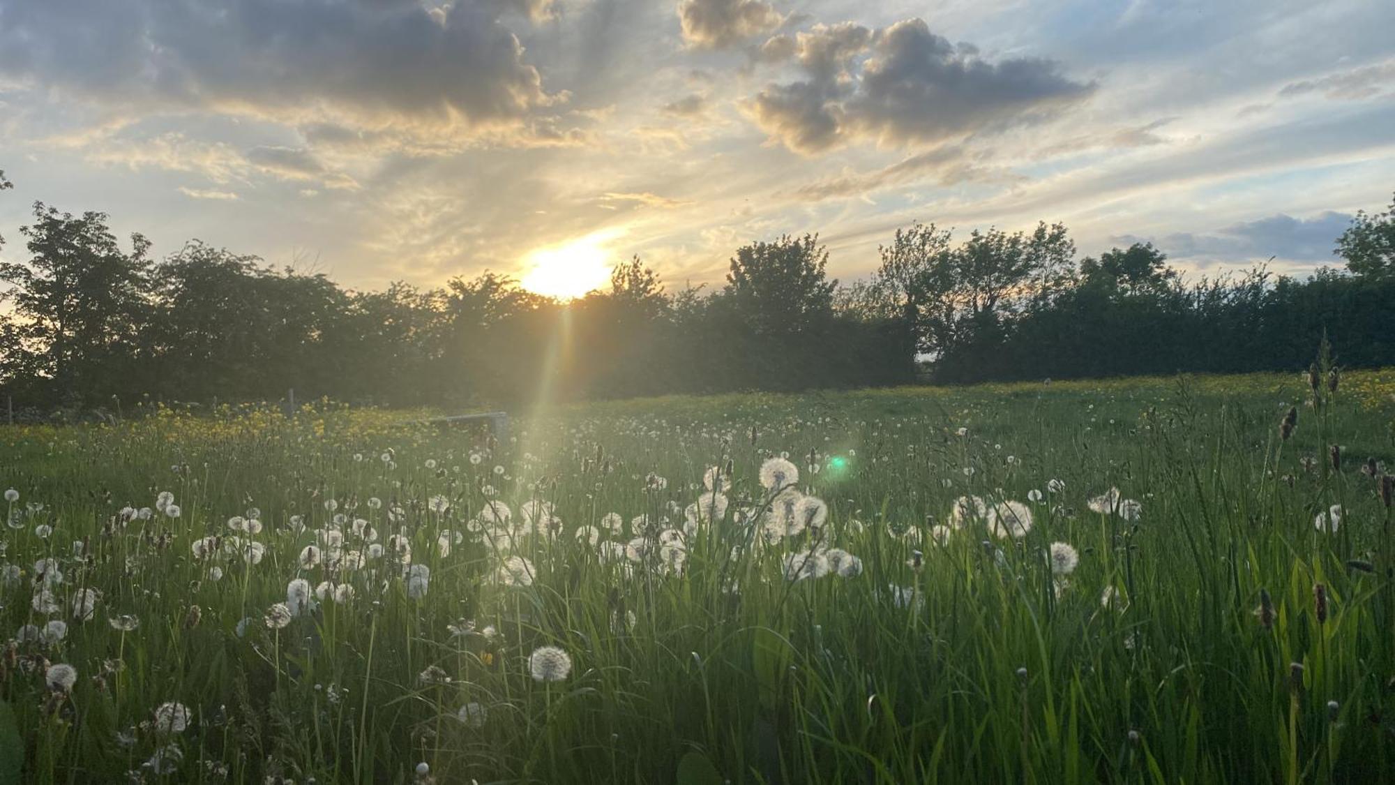 Wellbet Farm Hotel Swinderby Buitenkant foto