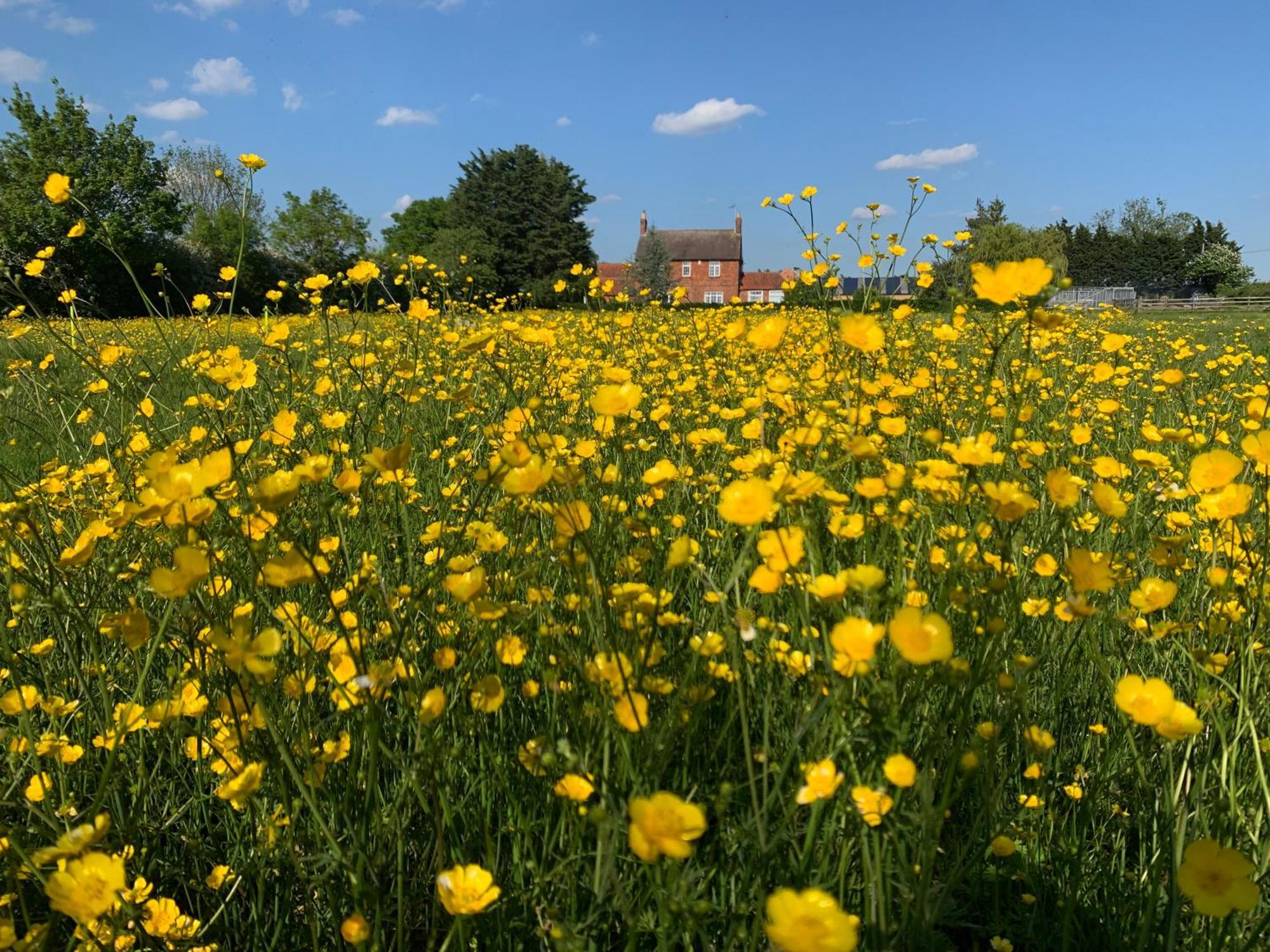 Wellbet Farm Hotel Swinderby Buitenkant foto